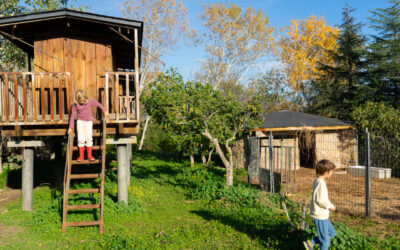 Ogród przyjazny rodzinie – strefa zabawy, relaksu i wspólnych chwil