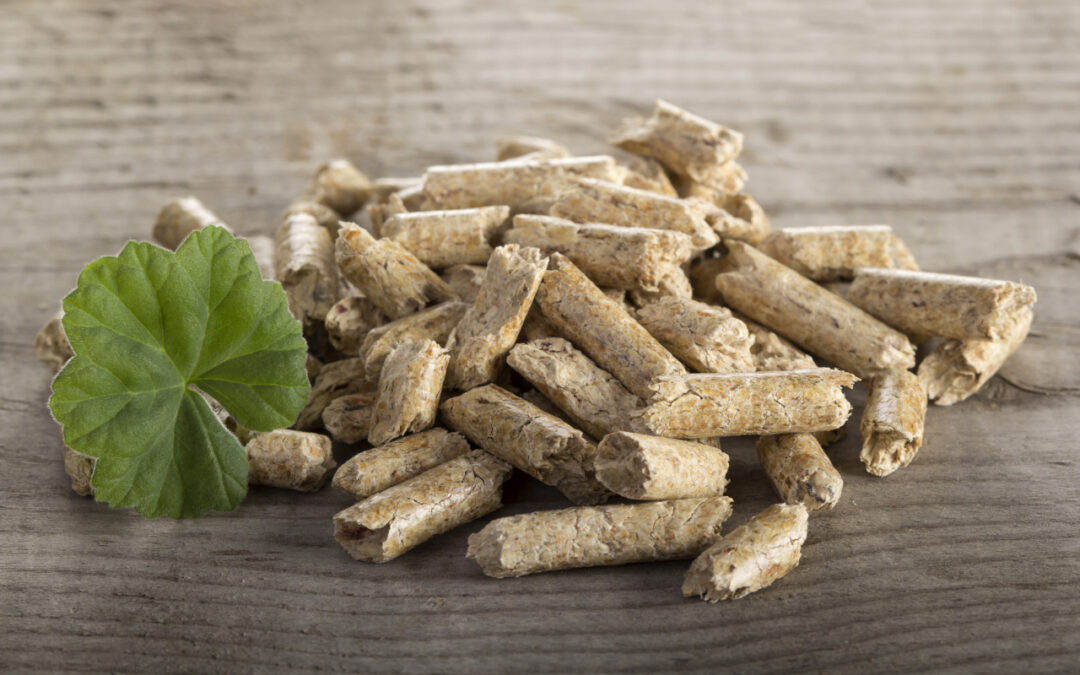 Jak rozpoznać pellet dobrej jakości przed zakupem?